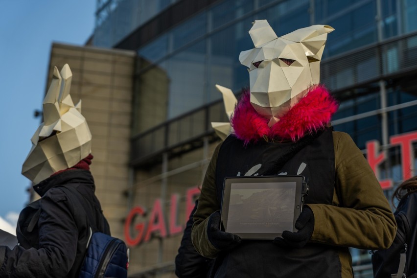 Aktywiści PETA i Viva! protestowali pod sklepem Reserved w Gdańsku. Sprzeciwiali się niehumanitarnemu pozyskiwaniu kaszmiru [zdjęcia]