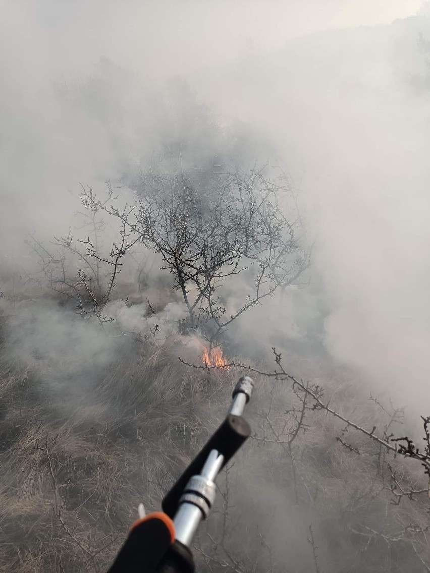 Akcja gaszenia dwóch hektarów traw w Kowali