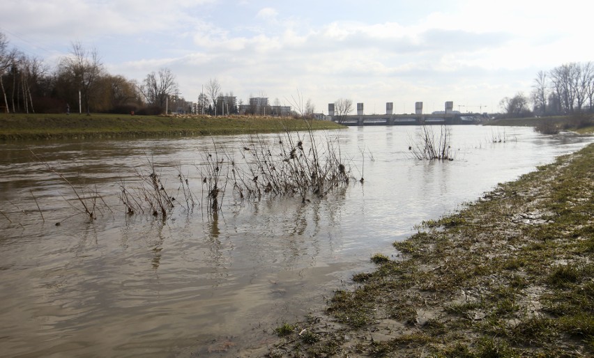 Wzrasta poziom wody w Wisłoku w Rzeszowie. Tak w niedzielę...