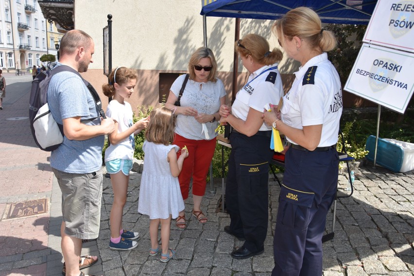 Tarnów. Strażnicy miejscy ocieplali swój wizerunek w cieniu Łokietka