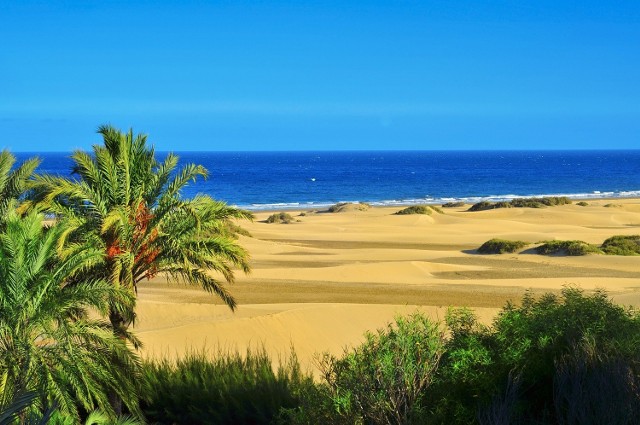 Gran Canaria – dla miłośników plażowania i zwiedzaniaCi, którym Teneryfa przypadła do gustu, powinni też docenić Gran Canarię. Obie wyspy często nazywane są kontynentem w miniaturze – ze względu na występowanie kilku stref klimatycznych i różnorodne typy krajobrazu. Rzeczywiście mają wiele wspólnego. Gran Canaria także jest sucha na południu i górzysta w centralnej części a im dalej północ, tym bardziej zielono. Gran Canaria zdecydowanie wyróżnia się jednak pod względem plaż. Playa de Maspalomas i przepiękna, choć niewielka Playa de Mogan – oczarują każdego. Nawet miejska plaża Las Canteras – rozciągająca się na długości kilku kilometrów – jest plażą doskonałą. W dodatku wszystkie oblane są przez wyjątkowo ciepłe wody oceanu, przez co wypoczynek tam to czysta przyjemność.Nie brakuje tam także miejsc wartych zwiedzania. Będąc na Gran Canarii nie wypada pominąć stolicy wyspy - Las Palmas. Najstarsza dzielnica miasta, La Vequeta, to miejsce nie tylko niezwykle klimatyczne, ale i pełne zabytków. A w poszukiwaniu niepowtarzalnych widoków warto udać się do wąwozu Guayadeque. Zielone zbocza robią wrażenie o każdej porze roku, w dodatku jest tu wiele jaskiń, które dawniej zamieszkiwali rdzenni mieszkańcy wyspy, Guanczowie. Nawet dziś można spotkać ludzi, którzy kontynuują tę rdzenną tradycję – wystarczy pojechać do Cuevas Bermejas, słynącego z wykutych w skale domostw.Źródło: r.pl