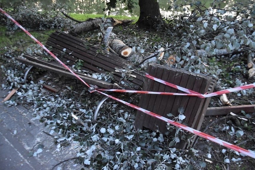 Drzewo raniło mężczyznę, który na ławce znajdował się z...