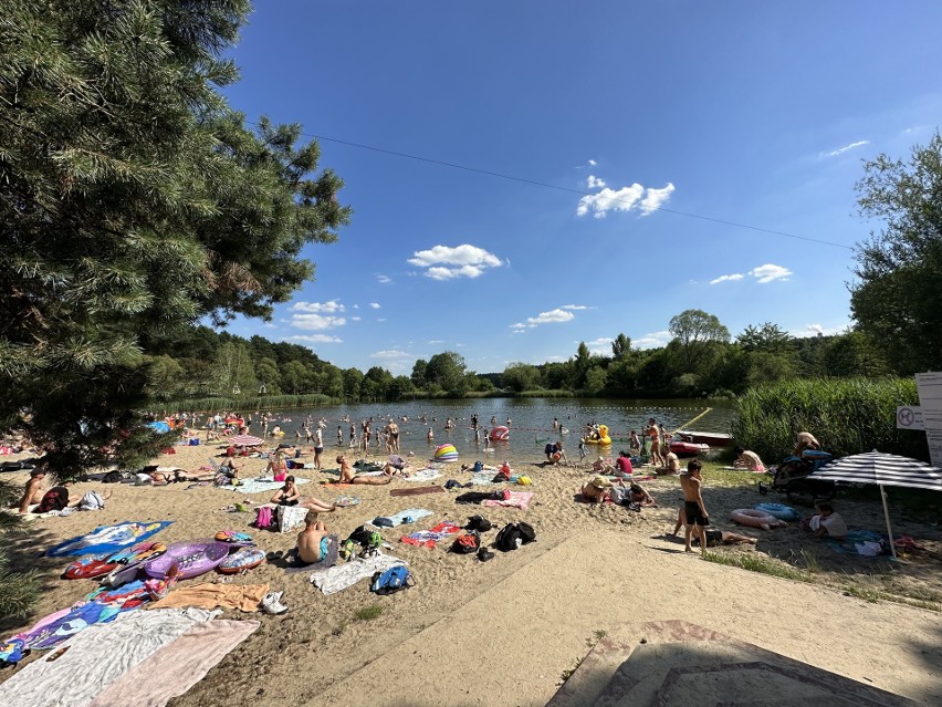 Wawrzkowizna koło Bełchatowa