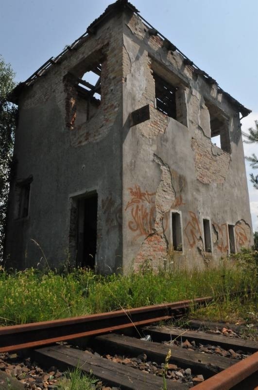 Tak wygląda linia kolejowa częściowo zlikwidowana. Do końca zlikwidować zdoła ją tylko... las (fot. Paweł Janczaruk)