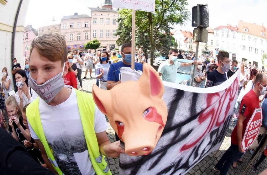 Protest przeciwko budowie chlewni w okolicach Kalska.