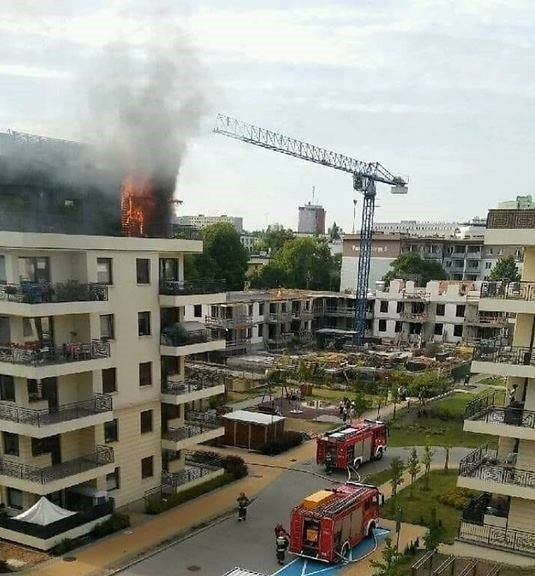 Pożar na Osiedlu Paryskim w Bydgoszczy. Znamy przyczynę! [nowe zdjęcia, wideo]
