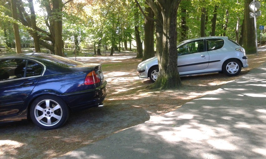 "Tak właśnie parkują przy ul. Ptasiej od strony parku...