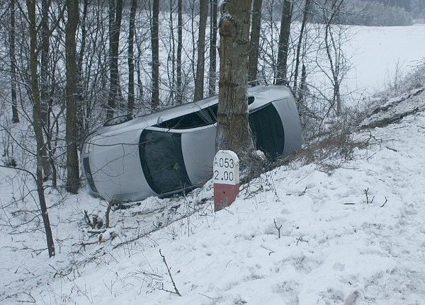 Wyleciała z szosy wprost w drzewa [ZDJĘCIA]