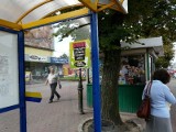 Na przystankach w Pabianicach ulotki kuszą łatwą pożyczką - bez zgody miasta