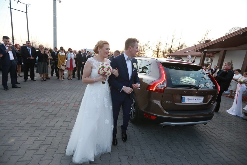 Agnieszka i Robert z programu "Rolnik szuka żony" wzięli ślub [zdjęcia]