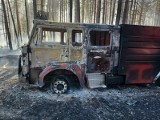 W olbrzymim pożarze lasu spłonął wóz strażacki. Droga zablokowana