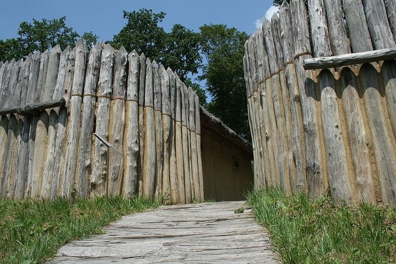 Najnowocześniejsza Troja Europy w Trzcinicy koło Jasła