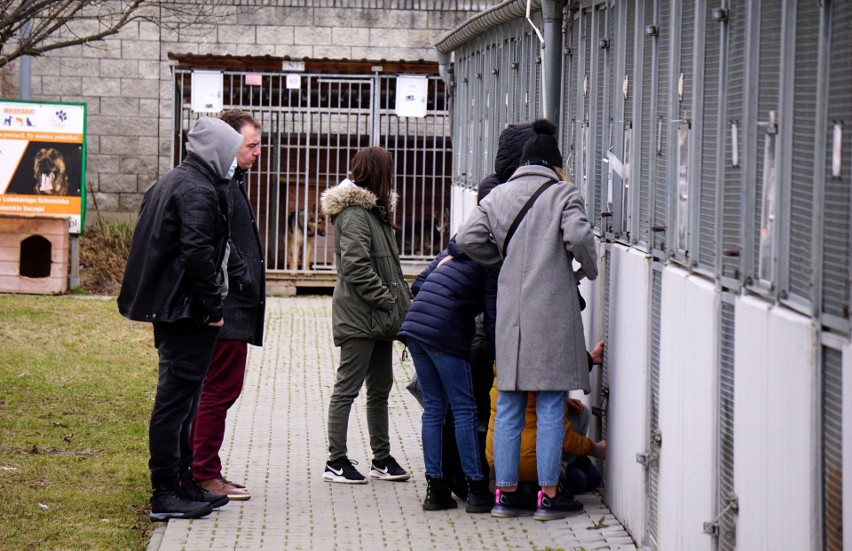 Lublin. Dzień otwarty w lubelskim Schronisku dla Bezdomnych Zwierząt przy ul. Metalurgicznej. Fotorelacja