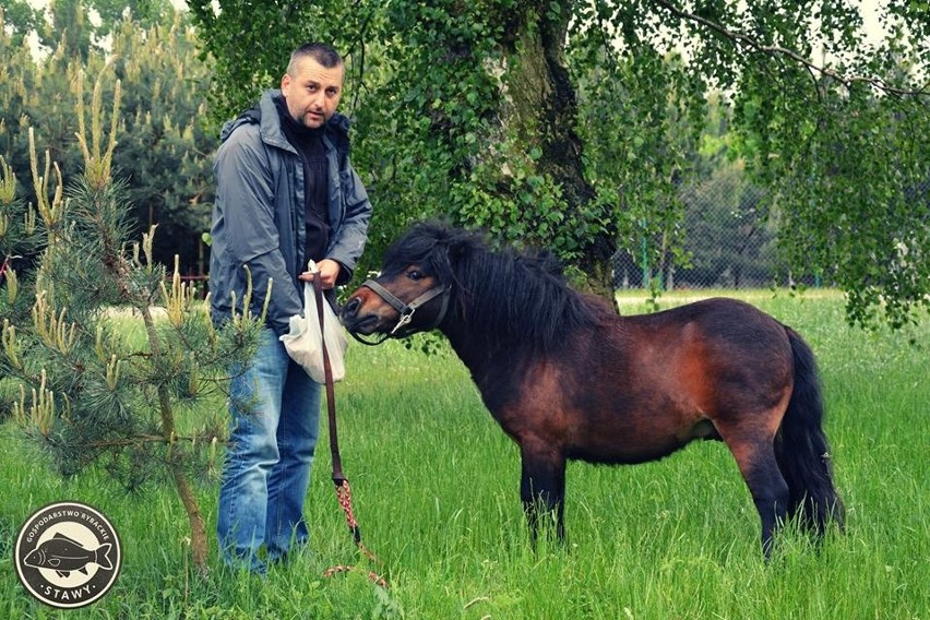 Gospodarstwo Rybackie Stawy to mnogość atrakcji i przepiękne...