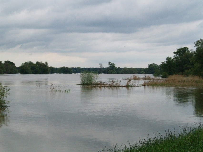 Odra - Cigacice oraz Pomorsko (24.05.2010)