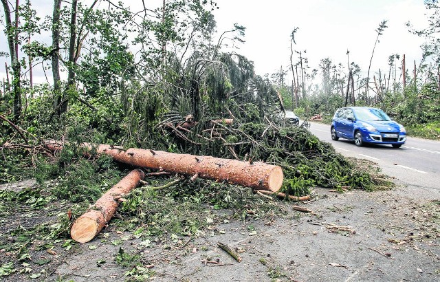 Przy drogach naszego regionu wciąż zalega mnóstwo powalonych przez sierpniową nawałnicę drzew i gałęzi. Wiele odcinków dróg różnych kategorii jest uszkodzonych.