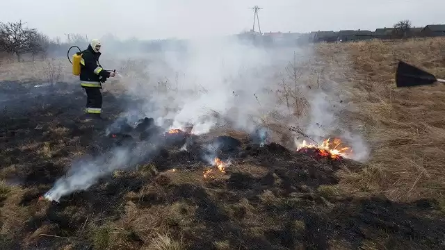 Wiosenne pożary traw zagrażają ludziom, zwierzętom, środowisku i budynkom. Absorbują zastępy straży pożarnej, które w tym samym czasie mogą być potrzebne w innym miejscu.