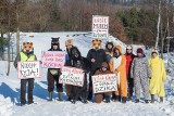 Aktywiści ze Zwierzęcego Ruchu Oporu w widowiskowy sposób zablokowali polowania na dziki koło Krasiczyna i Sanoka [ZDJĘCIA]