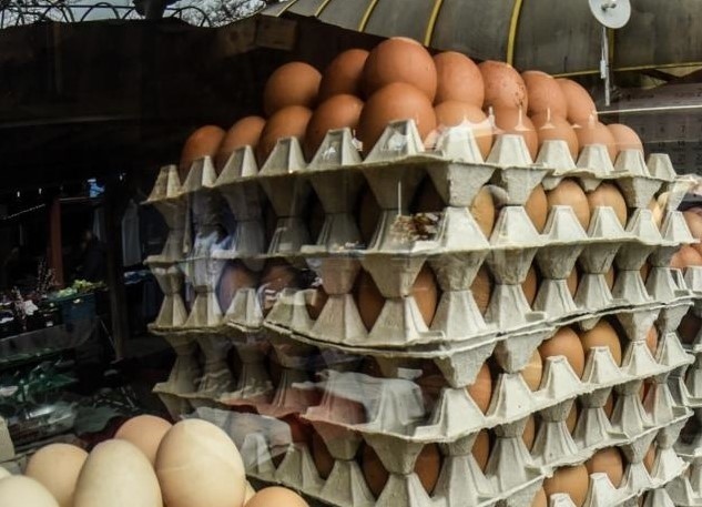 Skażone jaja trafiły do sklepów Biedronka i Carrefour. Nie wolno ich jeść. Jajka muszą być zwrócone do sklepu OSTRZEŻENIE