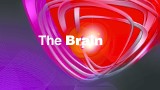 "The Brain – genialny umysł" od marca 2017 w Polsacie!