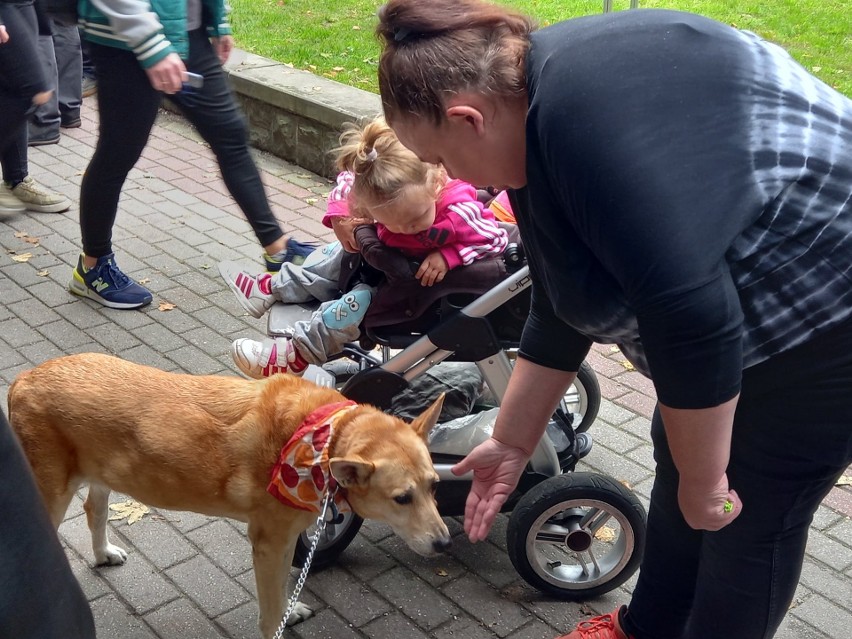 Młodzi mieszkańcy Katowic na rozwój swoich pomysłów...