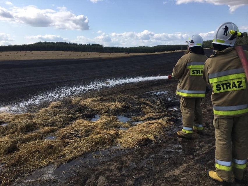 Jasionóweczka. Płonęło 5 hektarów zboża. Strażak trafił do szpitala (zdjęcia)