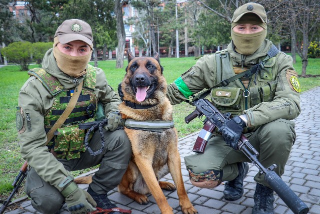 Uratowany w walce pies rosyjskiej Rosgwardii będzie służył w Gwardii Narodowej Ukrainy. Nauczył się komend w języku ukraińskim.
