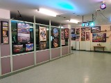 Nieocodzienna wystawa puzzli w lubelskim DPS Kosmonautów