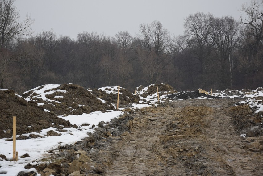 Oświęcim. Na Kamieńcu wycięto piękne drzewa. Tak powstaje Park Pojednania Narodów [ZDJĘCIA, WIZUALIZACJA]