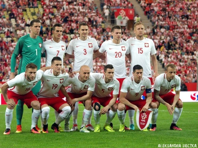 Oceniliśmy Polaków za mecz z Holandią