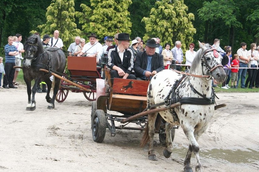 Konkurs pojazdów konnych w Lubostroniu [zobacz zdjęcia]