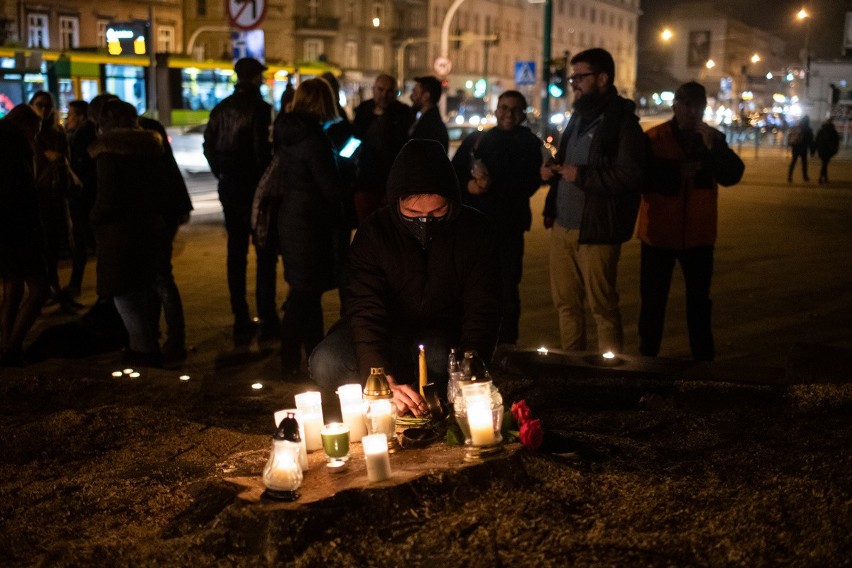 O wycince zdecydowały władze Palmiarni Poznańskiej, które...