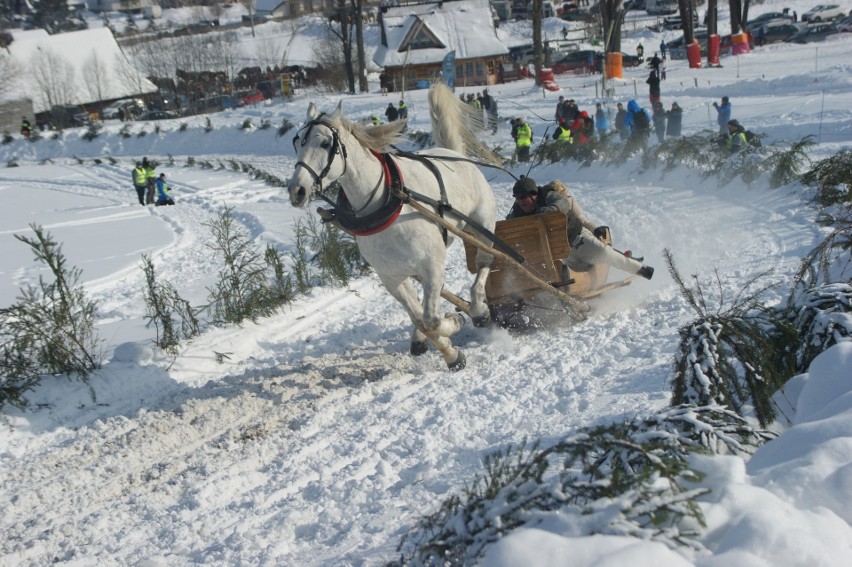 Kumoterki Zakopane 2018