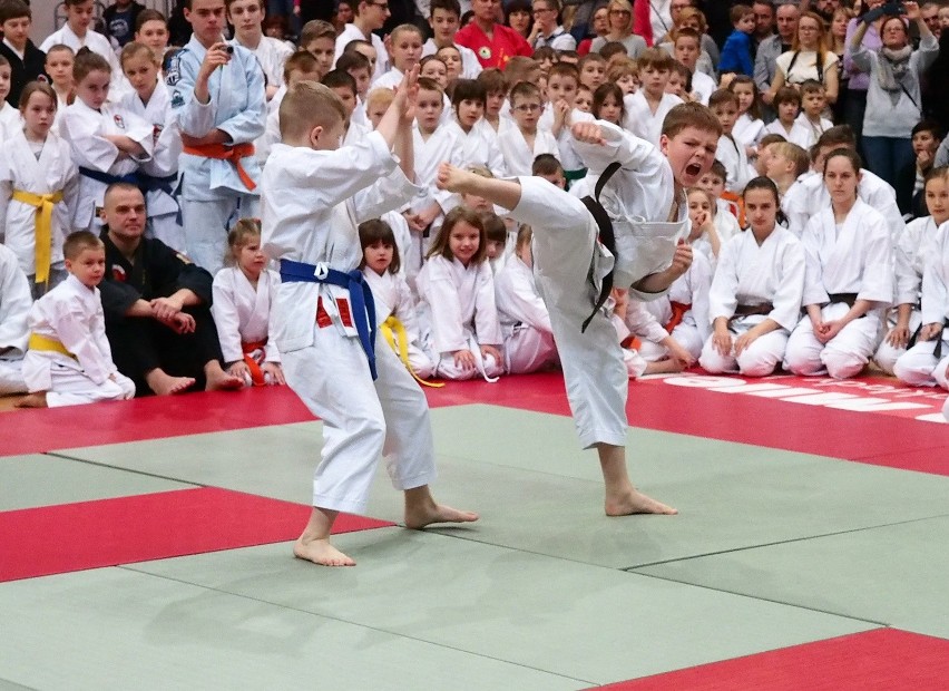 29 medali Krakowskiego Klubu Karate Tradycyjnego