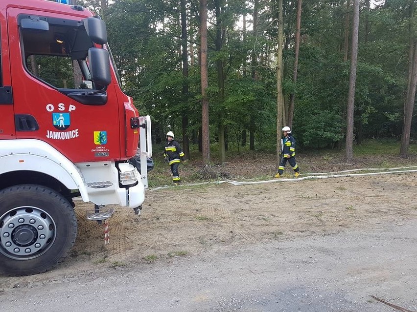 Strażacy z Rybnika, Żor, Zabrza i Raciborza przyjechali na symulowany pożar lasu ZDJĘCIA