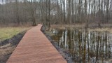 Na mapie Zielonej Góry pojawi się nowe miejsce do rekreacji. To Park Mazurski na terenie przylegającym do os. Mazurskiego 