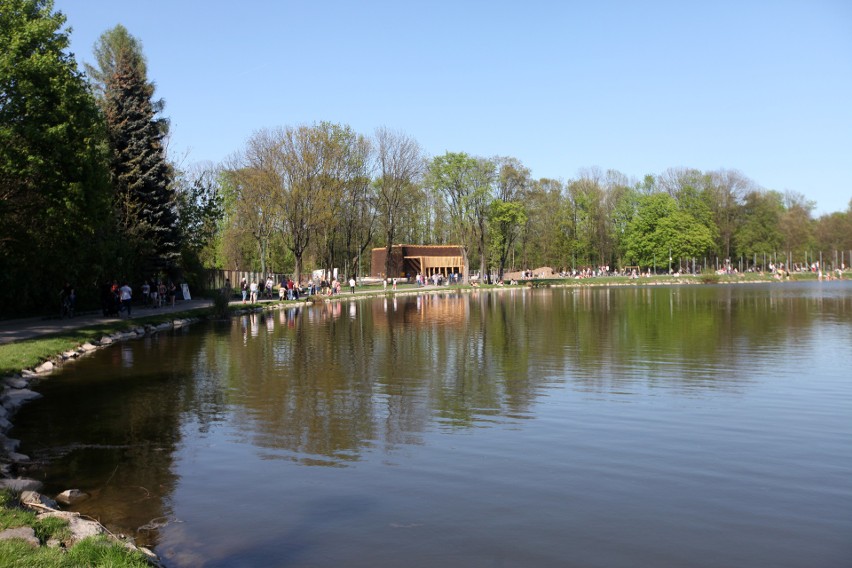 Stopień trudności: łatwa...