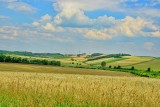 Unijna wizja dla terenów wiejskich do 2040 roku. Jakie mają być?