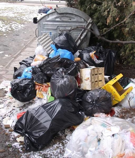 Ten pojemnik na śmieci ma wystarczyć wszystkim handlującym na Placu Małgorzatki.