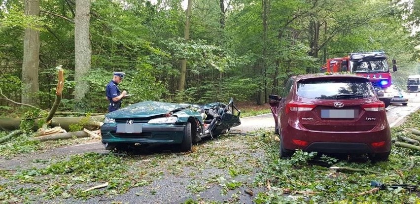 Straszny wypadek. Potężne drzewo zniszczyło samochody (ZDJĘCIA)