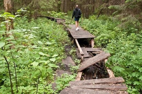<a href="http://www.mmbialystok.pl/artykul/edukacyjny-survival-rezerwat-krzemianka-160709.html" target="_blank">Rezerwat Krzemianka: Kładka na ścieżce edukacyjnej przypomina szwajcarski ser</a>