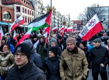 Protest "Wolnych Polaków" na ulicach Wrocławia. Czego domagali się manifestujący? [ZDJĘCIA]