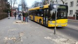 O włos od tragedii w Gliwicach. Doszło do zderzenia pieszego i autobusu. Policja opublikowała nagranie ze zdarzenia. Kto w nim zawinił?