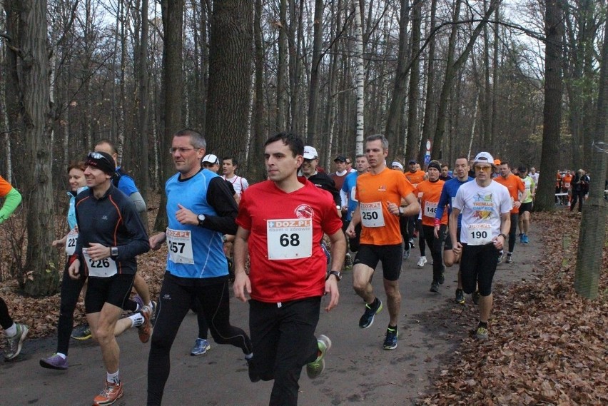 Puchar Maratonu Dbam o Zdrowie w Arturówku. Bieg na 5 km [ZDJĘCIA]