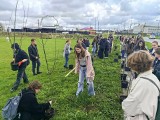 Zamość. Przez pięć lat posadzili pół tysiąca drzew. Odbyła się kolejna edycja akcji 