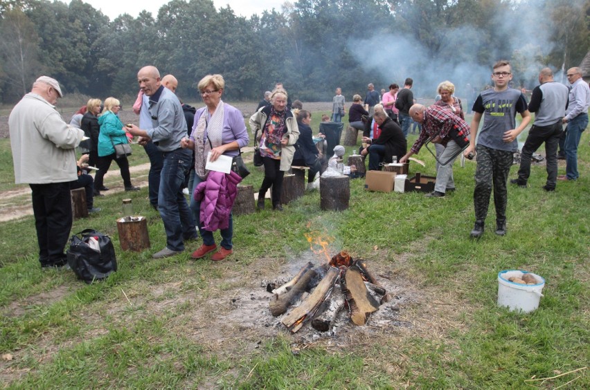 Tłumy smakoszy na Festiwalu Ziemniaka w Muzeum Wsi Radomskiej. Było wiele konkursów i pokazów [ZDJĘCIA]