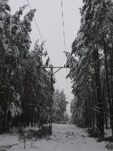 Powołali sztaby antykryzysowe w powiecie włoszczowskim