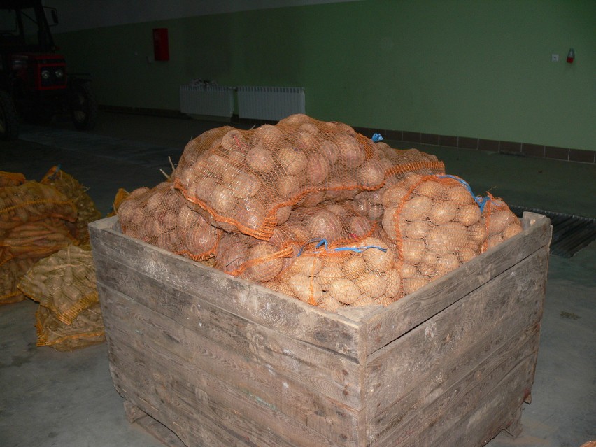 Sandomierski "Rolnik" dzieli się płodami rolnymi. Prawie tonę warzyw przekazano do schroniska dla bezdomnych mężczyzn i szpitala