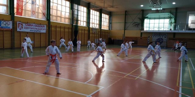 Seminarium „Wybrane elementy karate w samoobronie”, cieszyło się sporym zainteresowaniem