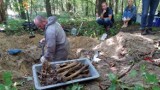 Szkielet niemieckiego żołnierza odkryto pod Strzelcami Opolskimi [wideo, zdjęcia]